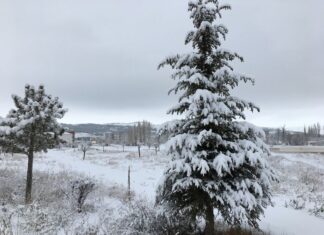 Antalya’nın Turizm Tarihi