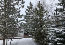 Perge Stadyumu’nun Mimari Özellikleri